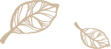 https://onagrine.ac-dev.net/wp-content/uploads/2021/10/fidelity-banner-ornament-2.png